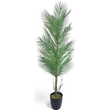 Yapay Ağaç Palmiye 155*50CM 30YAPRAK Areka Ağacı Siyah Saksıda Tek Gövdeli