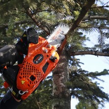 RONEY POWER Benzinli Ağaç Kesme Motoru 25.4cc - CS 2501