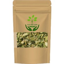 Tan Organik Şerbetçi Otu 100GR