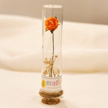 Cam Tüp Içinde Kurutulmuş Turuncu Gül Nikah Hediyeliği