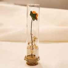 Cam Tüp Içinde Kurutulmuş Turuncu Gül Nikah Hediyeliği