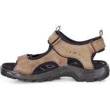 Offroad Navajo Brown Oil Nubuck