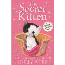Holly Webb Animal Stories: The Secret Kitten