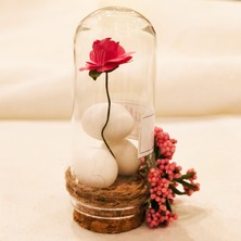 Cam Fanuslu Gül ve Şeker Nikah Hediyelik