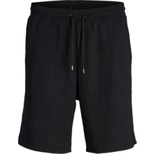 Jpstkane Jjvalencia Sweat Bej Erkek Şort