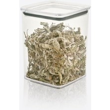 Mcreative Home Kare Şeffaf Mika Sızdırmaz Vakumlu Erzak Kabı, Bakliyat ve Kuruyemiş Saklama Kabı, Gıda Tazeliğini Koruyan Dayanıklı Mutfak Aksesuarı (1100 Ml)