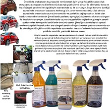5'Li Araba Temizleme Seti/Oto Bakım Seti 1 Lt