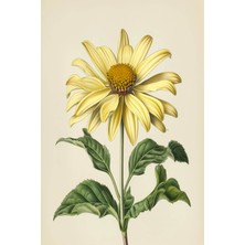 Aden Dekoratif Çiçek Kanvas Tablo