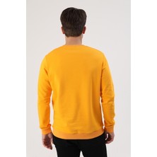 Fibula Moda Erkek Sweatshirt