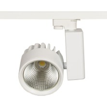 Mega Cob LED Ray Spot 40 Watt