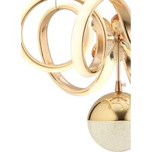 Olivya Kıvrım Tek Top - LED Avize - Cam Kelebekli - 3 Renk - Gold Kasa