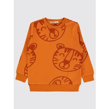 Erkek Çocuk Sweatshirt