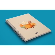 Purple & More Marka Be Spicy ve Hello Winter 2'li Defter Seti A5 80 Yaprak Spiralli Defter