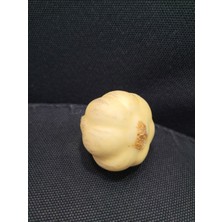 Plastik Sarımsak 6cm 1 Adet