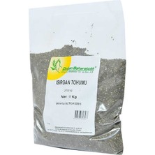 Isırgan Tohumu Doğal Tane 1000 gr Paket