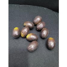 Yapay Zeytin 8'li 3 cm