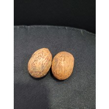 2'li Yapay Ceviz 4cm