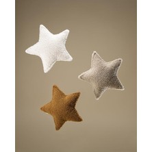 Star Teddy Kırlent