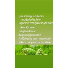 Kozalak Şurubu