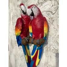 Papağan Ikili Macaw