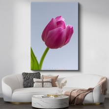Pembe Lale - Minimalist Çiçek Portresi Kanvas Tablo