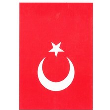 Atatürk Bayrak Çıkartma 13X18 10LU