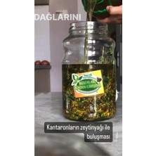 Kantaron Yağı