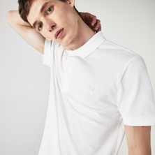 Bigeff Erkek Regular Fit Paris Polo T-Shirt