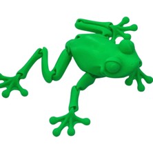 Nbshop 3D Hareketli Kurbağa Figürlü Oyuncak