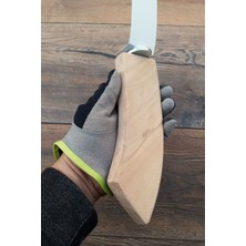 Vixpet Venty (Gürgen) Papağan Tüneği 24 cm Jako Amazon Alex Sultan Muhabbet Konur Monk Lori Forpus Senegal Kakariki - FX104
