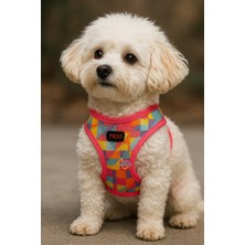 Pets Carnival Air-Mesh Harness Göğüs Tasması Spirit L