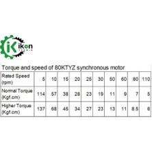 İKON TEKNİK 80KTYZ 60W 5RPM