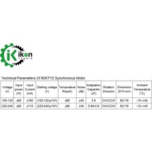 İKON TEKNİK 80KTYZ 60W 5RPM