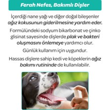 Vet's Plus Kedi ve Köpekler Için Diş ve Ağız Bakım Spreyi 50ML