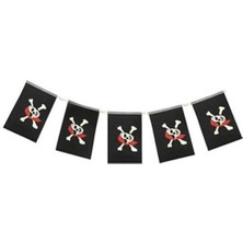 Korsan Partisi Bayrakları