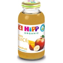 Hipp Organik Karışık Meyve Suyu 200 ml 6 Adet