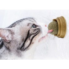 Hilera Kedi Otu Oyun Topu