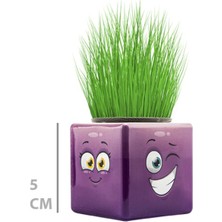 Veraura Lifestyle Çim Adam Mini Küp Emoji Figürlü 1 Adet