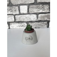 Beton Saksı Elips Model
