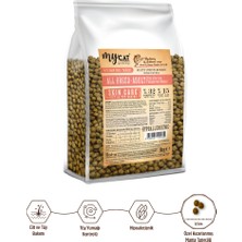 Mycat Original Az Tahıllı Hamsi & Somon Balıklı Skin Care Yetişkin Kedi Maması 1kg