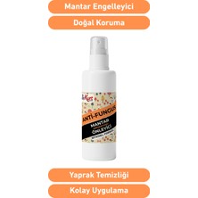 Bykurt Anti Fungus 200 ml  Orkide ve Yeşil Bitkiler Için Bitkisel Mantar Önleyici Sprey