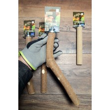 Vixpet Venty 4 Adet Papağan Tüneği Seti - Kumlu Pedikür Tünek | Macaw, Kakadu, Jako, Amazon, Eklektus, Alexander, Kayık - M415