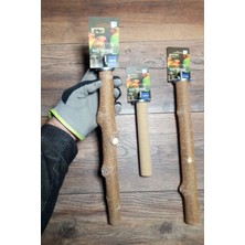 Vixpet Venty 3 Adet Papağan Tüneği Seti - Kumlu Pedikür Tünek | Macaw, Kakadu, Jako, Amazon, Eklektus, Alexander, Kayık  - M419