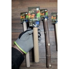Vixpet Venty 4 Adet Papağan Tüneği - Kumlu Pedikür Tünek | Jako, Amazon, Alexander, Eklektus, Kayık, Konur - M421
