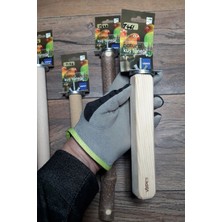 Vixpet Venty 4 Adet Papağan Tüneği - Kumlu Pedikür Tünek | Jako, Amazon, Alexander, Eklektus, Kayık, Konur - M421