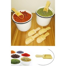 Büro Ev Ofis Mutfağı Için 6parça 9cm Ahşap Mini Baharatlık Küreği