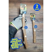 Vixpet Venty 2 Adet Papağan Tüneği Seti - Doğal Dal Tünekler | Macaw, Kakadu, Jako, Amazon, Eklektus, Alexander, Kayık - M426