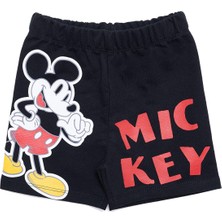 Disney Mickey Mouse Şort