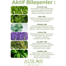 Anti-Fly Sinek, Sivrisinek, Kene ve Haşere Kovucu, Ortam Koruyucu, Bitkisel Sinek Savar Sprey 250ML