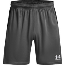 Under Armour Challenger Knit Erkek Gri Şort